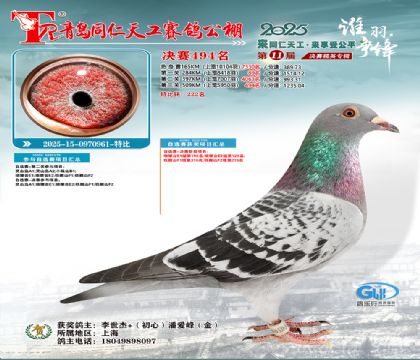 青岛同仁天工决赛494名