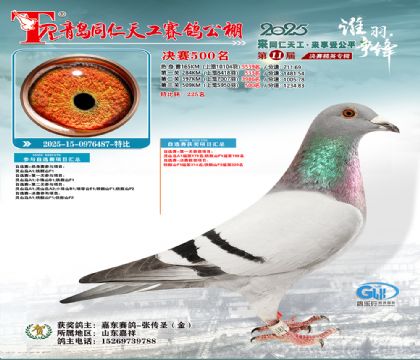 青岛同仁天工决赛500名