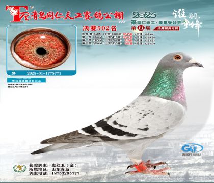 青岛同仁天工决赛502名