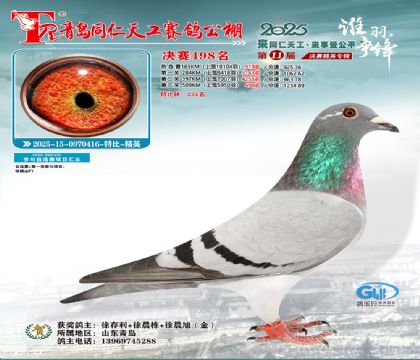 青岛同仁天工决赛498名