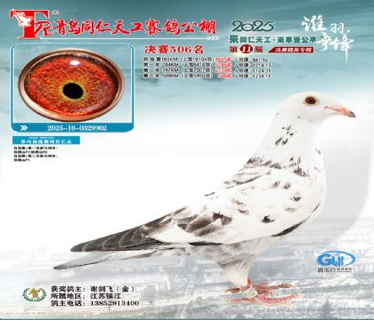 青岛同仁天工决赛506名