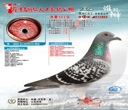 青岛同仁天工决赛504名