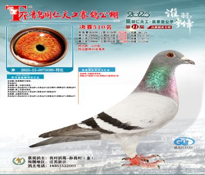 青岛同仁天工决赛510名