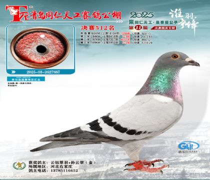 青岛同仁天工决赛512名