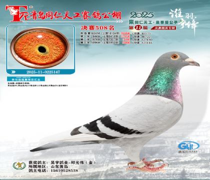 青岛同仁天工决赛508名