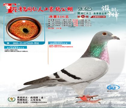 青岛同仁天工决赛516名