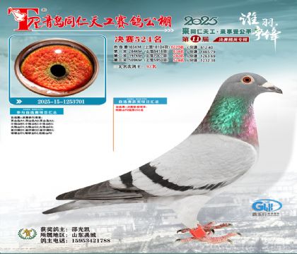 青岛同仁天工决赛524名