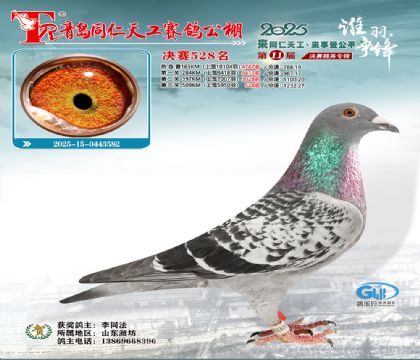 青岛同仁天工决赛528名