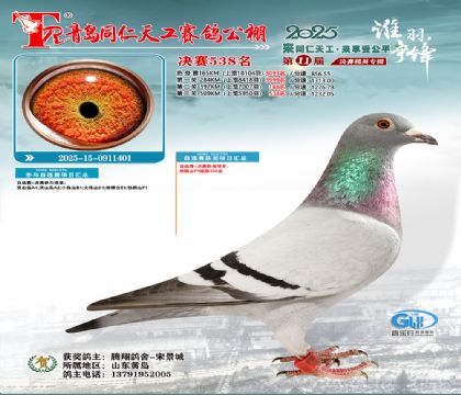 青岛同仁天工决赛538名