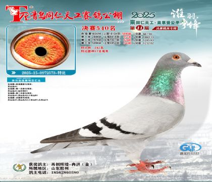 青岛同仁天工决赛540名