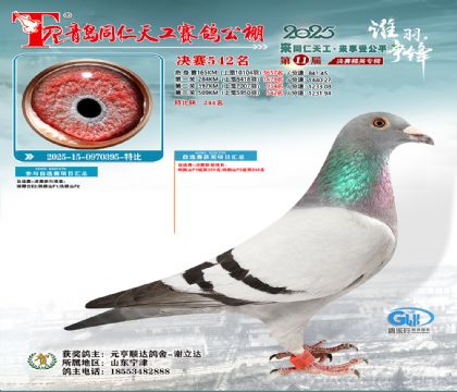 青岛同仁天工决赛542名