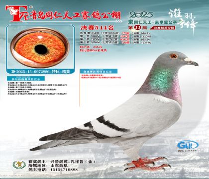 青岛同仁天工决赛544名