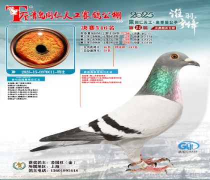 青岛同仁天工决赛546名