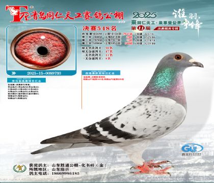 青岛同仁天工决赛548名