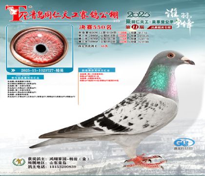 青岛同仁天工决赛550名