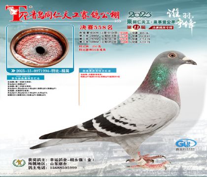 青岛同仁天工决赛558名