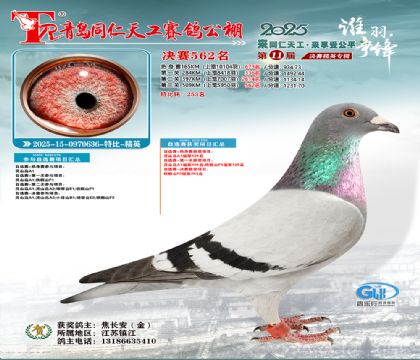 青岛同仁天工决赛562名