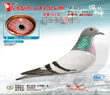 青岛同仁天工决赛564名