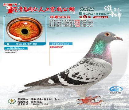 青岛同仁天工决赛566名