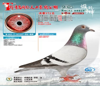 青岛同仁天工决赛572名