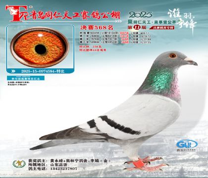 青岛同仁天工决赛568名