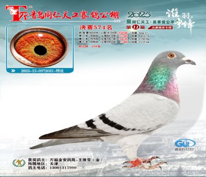 青岛同仁天工决赛574名