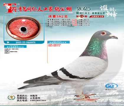 青岛同仁天工决赛582名