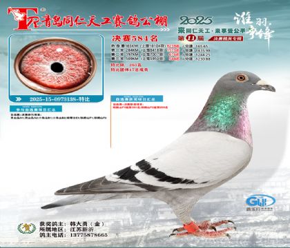 青岛同仁天工决赛584名