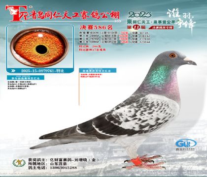 青岛同仁天工决赛586名