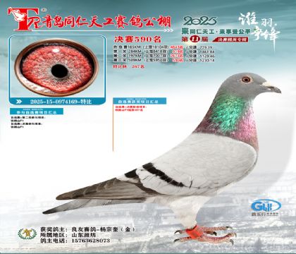 青岛同仁天工决赛590名