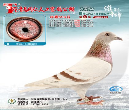 青岛同仁天工决赛594名