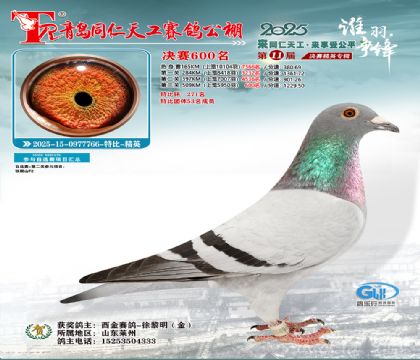 青岛同仁天工决赛600名