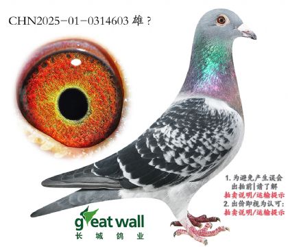 9.Lꖼվِ73ƽ݅.0314603