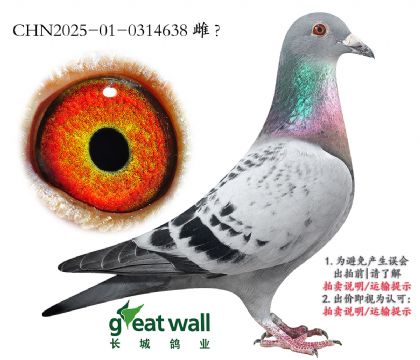 17.ղķʿƽ݅Ӵ.0314638