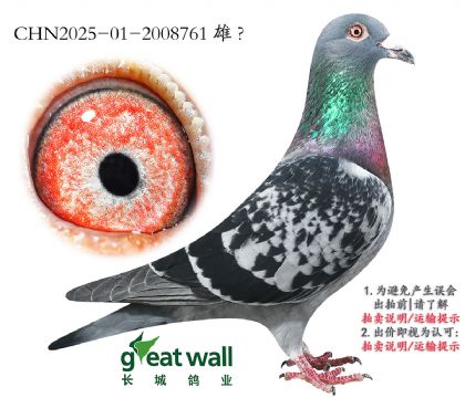 18.wm˹363Ѫ.2008761