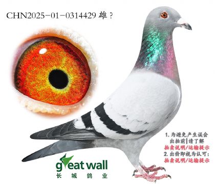 20.P(gun)Cρ܊ƽ݅.0314429