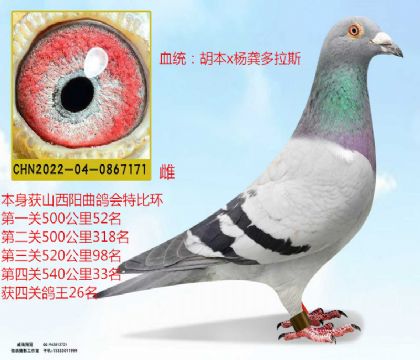 (yng)(hu)رȭh(hun)P(gun)26X˹