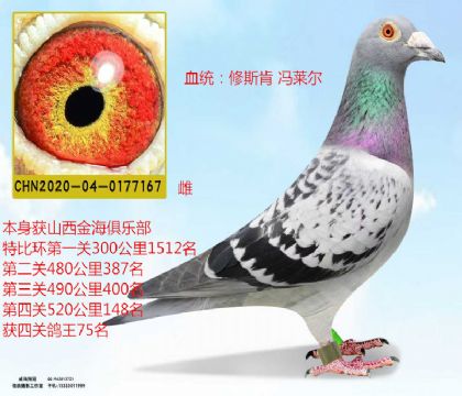 𺣾㘷(l)P(gun)75˹TR