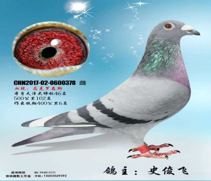 (j)N(wn)ô󎟱46R_ɭ˹