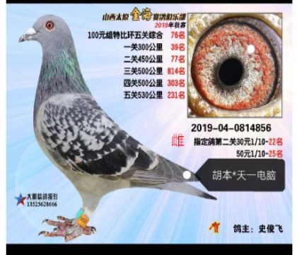 𺣾㘷(l)P(gun)76XһX