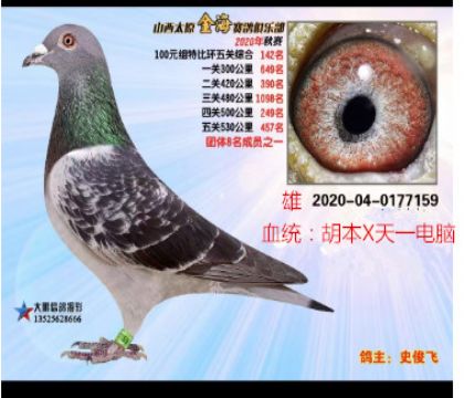 𺣾㘷(l)P(gun)142XһX