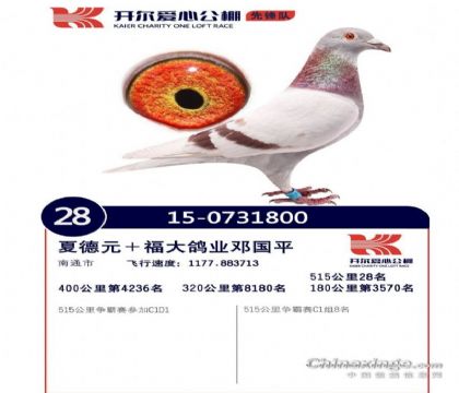 _઄ȫ18Ҽ۹P(gun)P(gun)܊