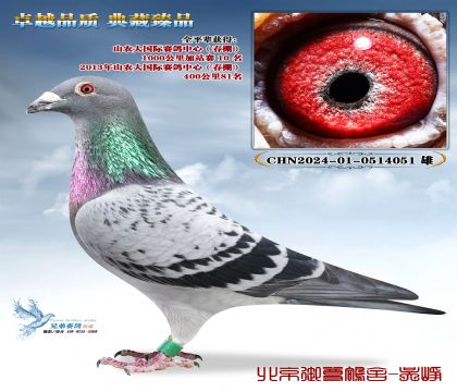 ɽr(nng)1000վِ10ƽ݅