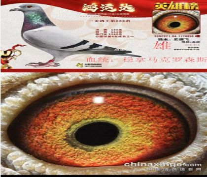 ɽ\(yn)_(d)Qِ198(wn)R_ɭ˹