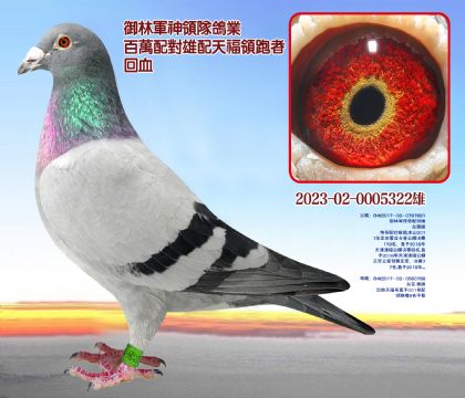 f(wn)䌦(du)츣I(lng)߻Ѫ