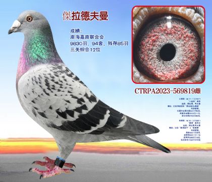 Ϻ(lin)ϕ(hu)P(gun)C12λ