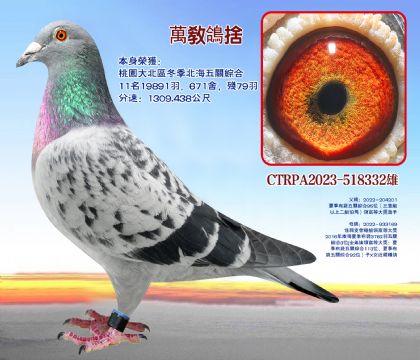 ҈@󱱅^(q)P(gun)C11