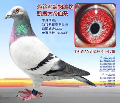 13534𣬱P(gun)C55λ