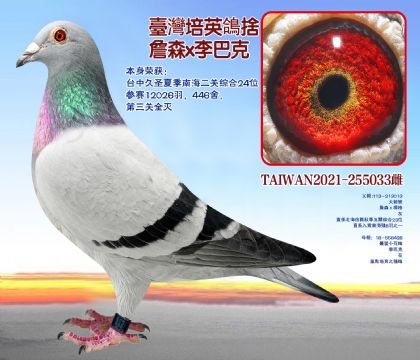 ϺP(gun)C24λِ12026