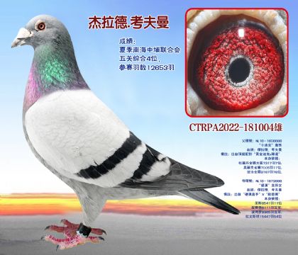 (lin)ϕ(hu)P(gun)C4λ